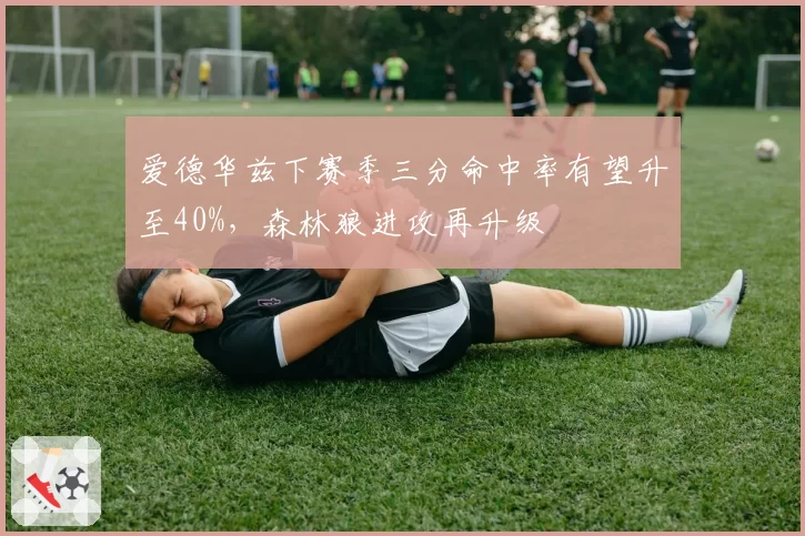 爱德华兹下赛季三分命中率有望升至40%，森林狼进攻再升级