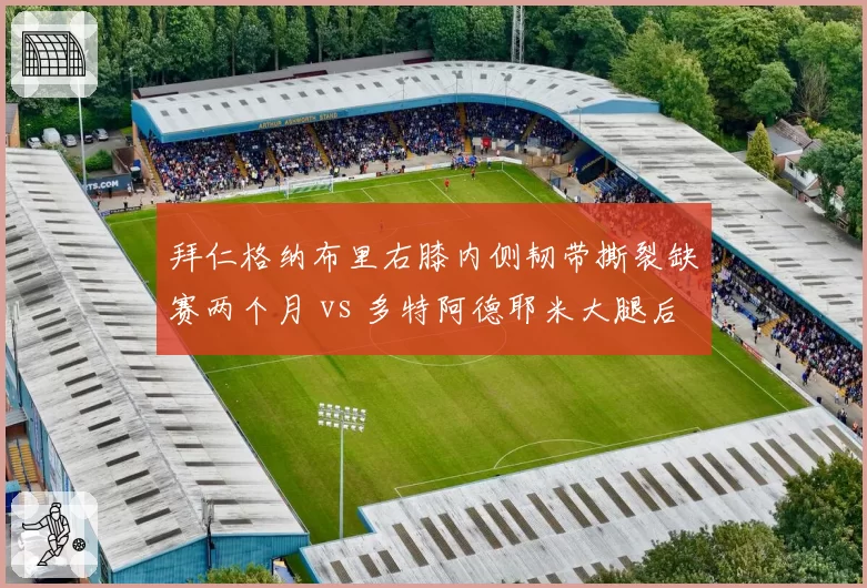 拜仁格纳布里右膝内侧韧带撕裂缺赛两个月 vs 多特阿德耶米大腿后群拉伤休战六周 德甲飞翼伤病恢复进度比较