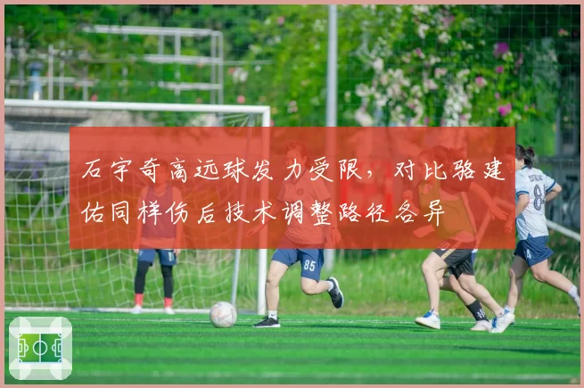 石宇奇高远球发力受限，对比骆建佑同样伤后技术调整路径各异