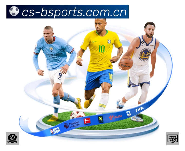 B体育平台展示图